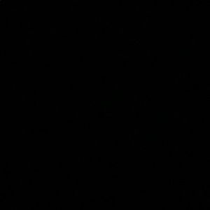 Meet your Posher, Theo